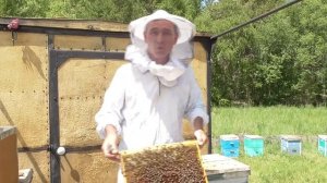 Почему я не использую разделительную решетку  (ганемановскую)для пчел .