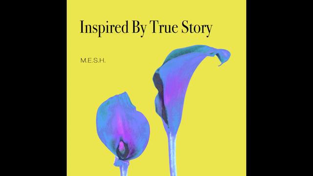 M.E.S.H. - Inspired By True Story смотреть онлайн