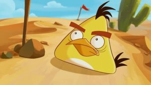 Run Chuck Run | Angry Birds Toons - Ep 20, S 1