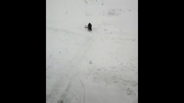 Способы катания на санках смотреть онлайн