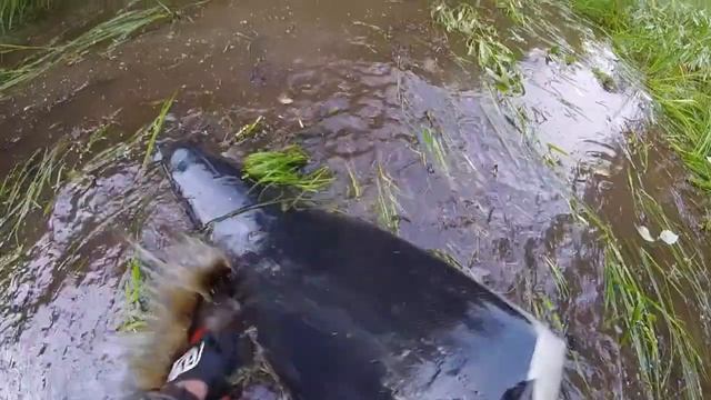yamaha raptor рулит смотреть онлайн