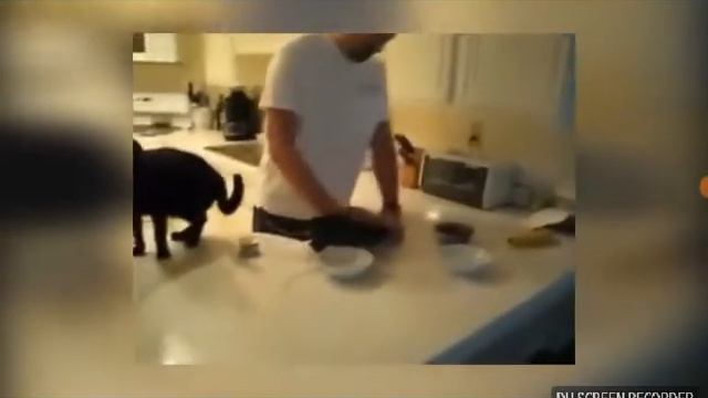 Подборка смешных котиков и других животных!!!😆😆😆😆😆😆😆😆😆😆😆😆😄😄😄😄😄😄😄😄😁😉 смотреть онлайн