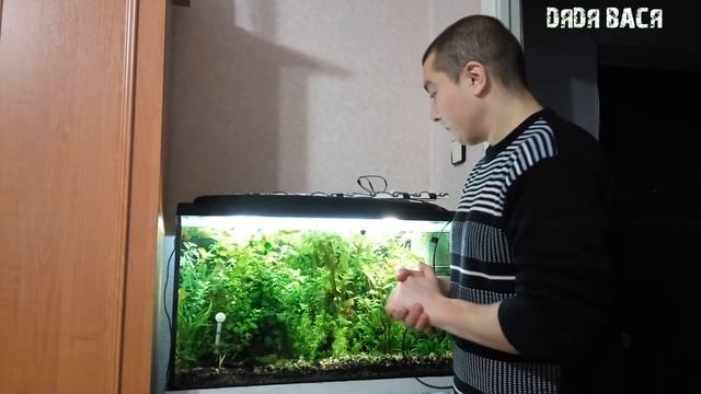Фитолампа для аквариумных растений своими руками! смотреть онлайн
