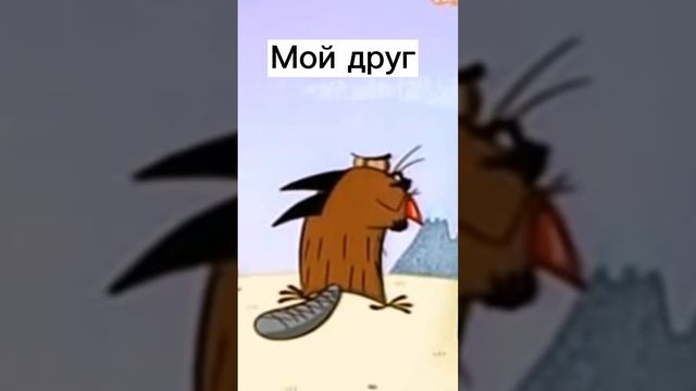 Солнце ответа