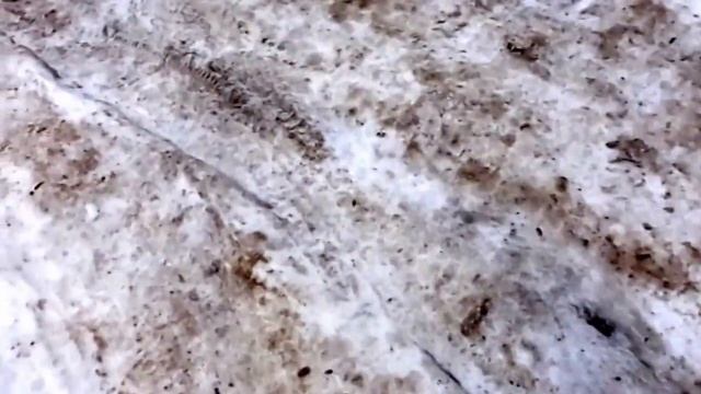 19. Ах, зима, зачем ты наступила?☃️/Ah, winter, why did you come? смотреть онлайн