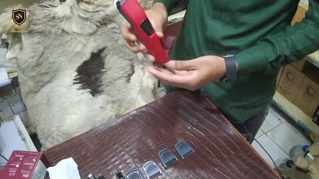 Philips BT1235 Beard Trimmer Unboxing || Philips Top Class Brand || Best Quality Trimmer by shainpu смотреть онлайн