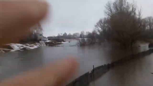 выдриха нас топит 24.03.2018 смотреть онлайн