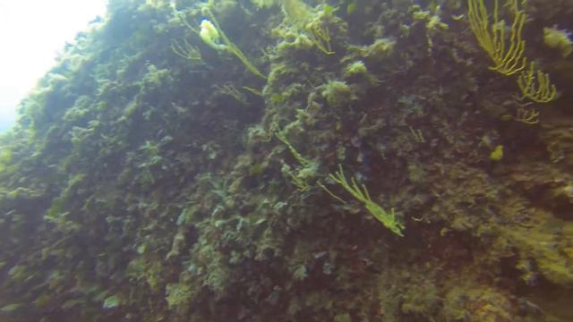 Maratea (Italy) Dive - Lido Martino 22 8 2014 смотреть онлайн