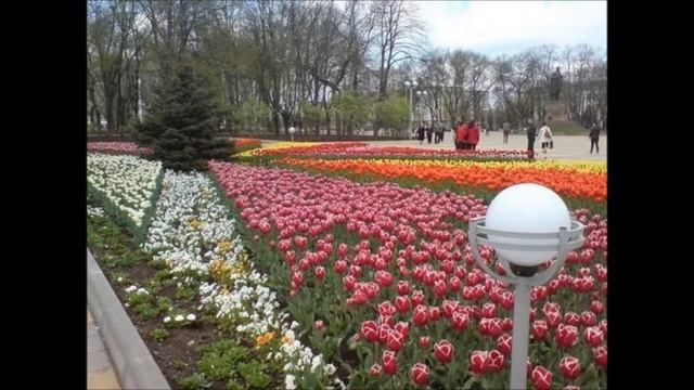 Майкоп. Столица Адыгеи. смотреть онлайн
