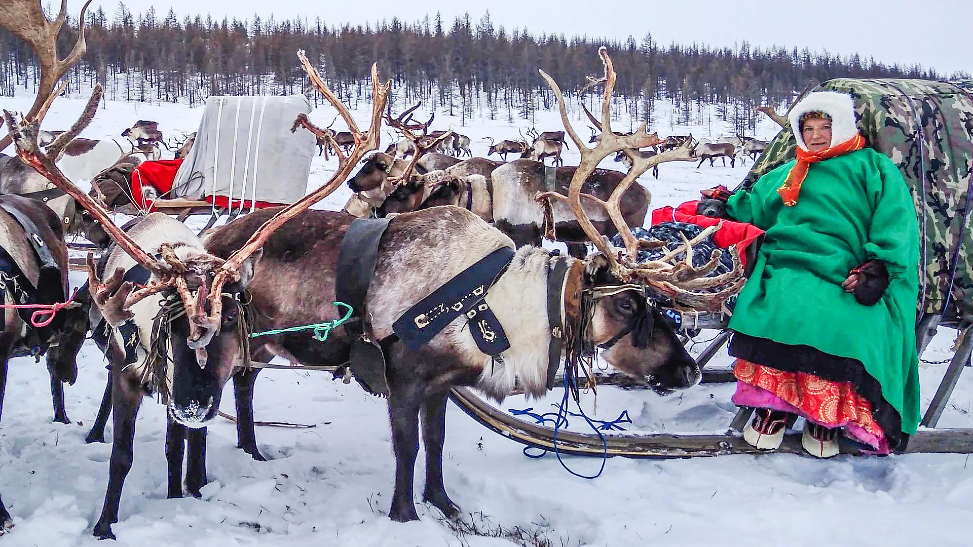 Невероятная судьба | Ясавэй. Кочевник ХХI века. 1 Часть смотреть онлайн
