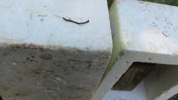 Minelab Pro - Find 40 Pinpointer  -- Operation and Features