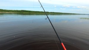 Со спиннингом на новые места / Шикарный улов за пару часов на реке / Окунь на отводной поводок