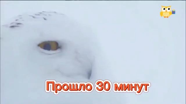 Исполнение желания - славянский ритуал со свечой#1 смотреть онлайн