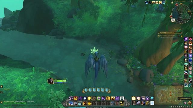 Forgotten Dragon Treasure - Dragonflight Treasure смотреть онлайн