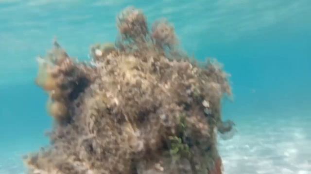 Красное море. Хургада. смотреть онлайн