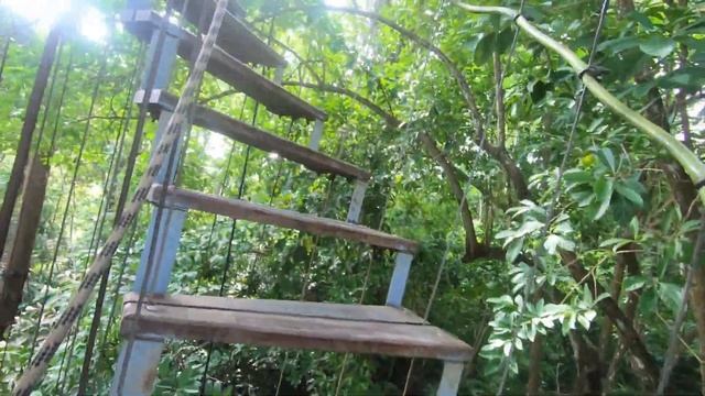 Канатная дорога-Мир Ханумана (Hanuman World) Пхукет ???