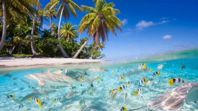 Красивая Успокаивающая музыка / Relaxing Soothing music смотреть онлайн