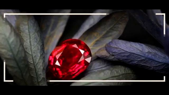 Риё. смотреть онлайн