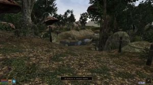 ОБЗОР The Elder Scrolls 3: Morrowind // МОРРОВИНД - Величайшая игра Серии!