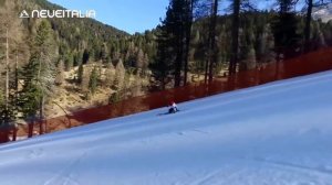 Ski Carving 6