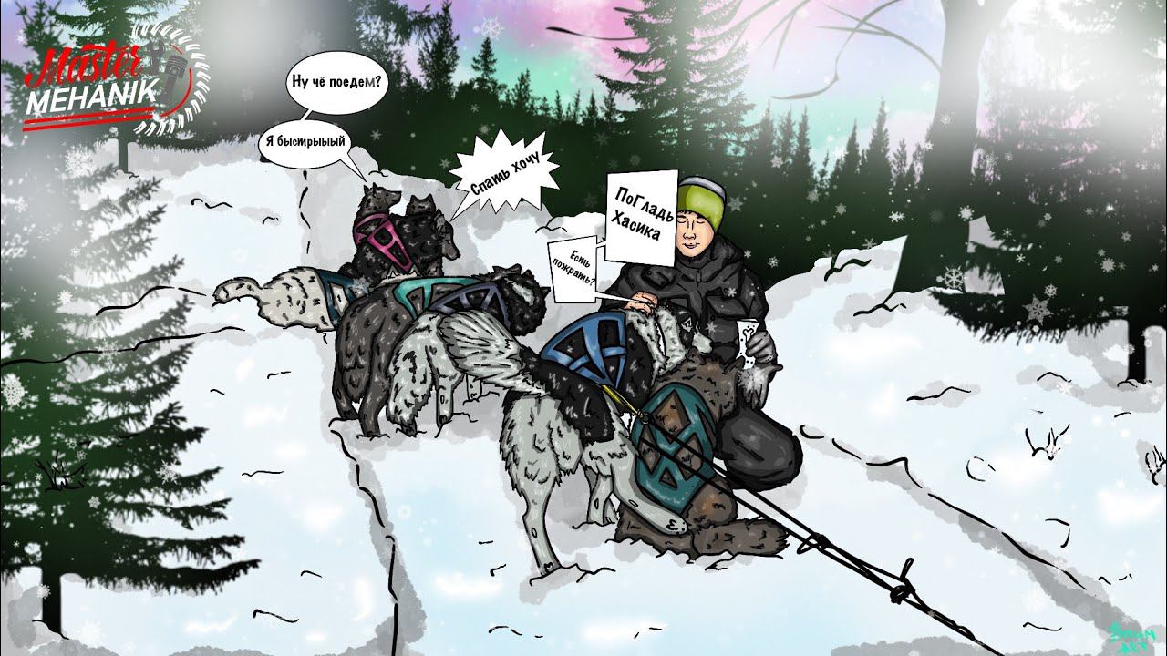 Зимние Виды Спорта - Хаски смотреть онлайн