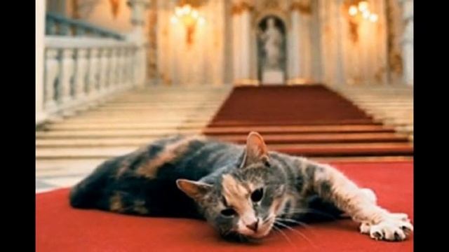 Эрмитажные коты смотреть онлайн