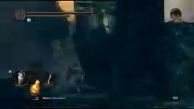 Dark Souls Прохождение с ножом (Часть 11)