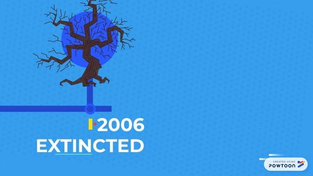 Timeline of extincted Baiji Dolphin смотреть онлайн