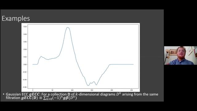 Austin Lawson (7/15/20): A canonical framework for summarizing persistence diagrams смотреть онлайн