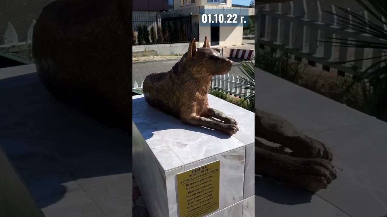 01.10.22 г. Погода Лазаревское #shorts #погодалазаревское #лазаревское2022 #сочи2022 смотреть онлайн