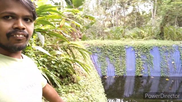 Kerala blogs देसी स्विमिंग पूल ?Assam to Kerala смотреть онлайн