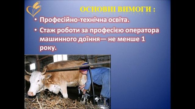 СТОВ "Гусарівське" потрібен оператор машинного доїння (відеопрезентація вакансії). смотреть онлайн