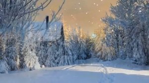 МАЛЕНЬКОЙ ЕЛОЧКЕ ХОЛОДНО ЗИМОЙ ...