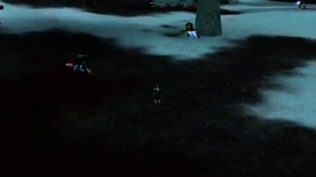 Демонстрация мега-инвиза в RFOnline №2