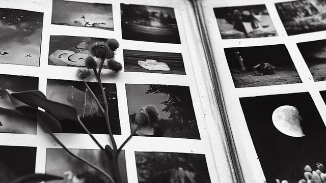 Рецепты для особых гостей 