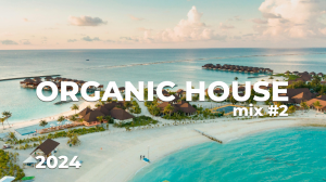 Organic House Mix #2 2024 by Carey Q