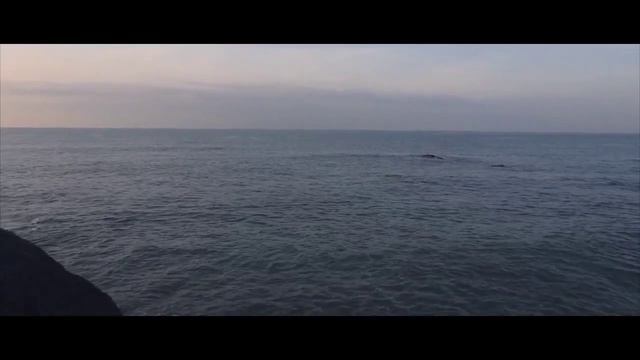 Рафис Хайдаров - Верность - счастье". (исполняет Сергей Тиссен)