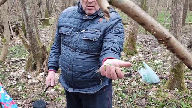 За черемшой!