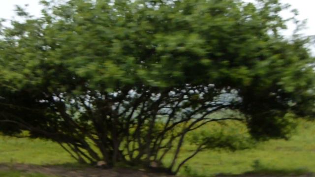 Плато Канжол смотреть онлайн