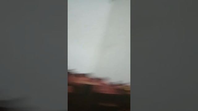 Глостер,гала яблоки 2019 смотреть онлайн