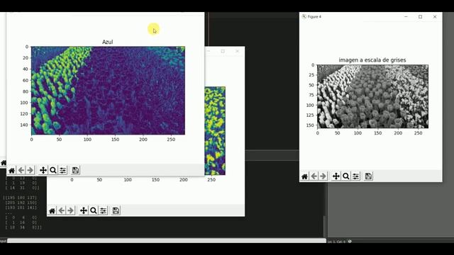 Manipulación tonalidades r,g,b de una imagen en python смотреть онлайн