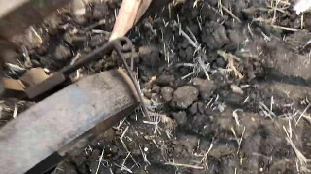 Юмз насрал в углу смотреть онлайн