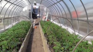 ГРЕЮЩАЯ ЛЕНТА ДЛЯ ПОДОГРЕВА ГРУНТА В ТЕПЛИЦЕ - МОЕ ПЕРВОЕ ВПЕЧАТЛЕНИЕ О НЕЙ.