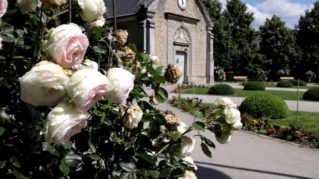 Vélizy-Villacoublay _ Vœux 2020 смотреть онлайн