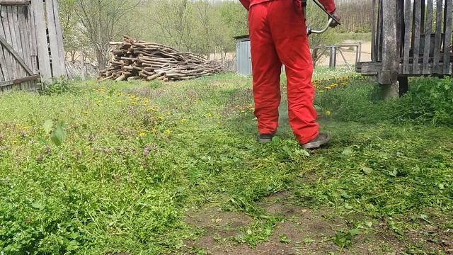 Motocositoare Procraft T-4350 , 58 Cmc , După Un An La Tăiat Iarbă