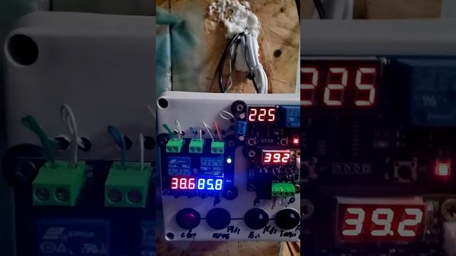 Выводной инкубатор смотреть онлайн