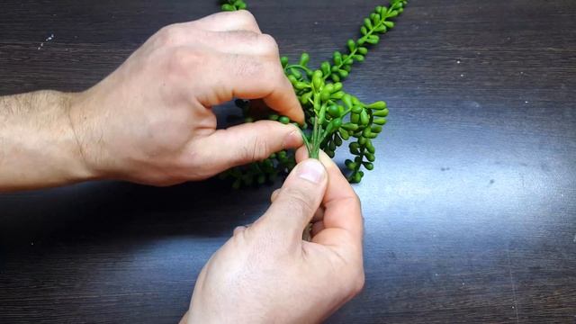 СТОЯТ ЛИ ИСКУССТВЕННЫЕ РАСТЕНИЯ СВОИХ ДЕНЕГ? смотреть онлайн