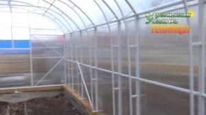 ПРЯМЫЕ СТЕНЫ У ТЕПЛИЦЫ, САМЫЙ ЛУЧШИЙ ВЫБОР! УСИЛЕННЫЙ КАРКАС ТЕПЛИЦЫ.