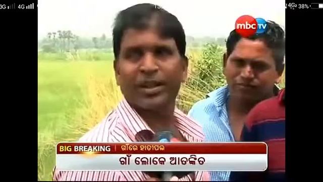Elephant in Barasingha смотреть онлайн