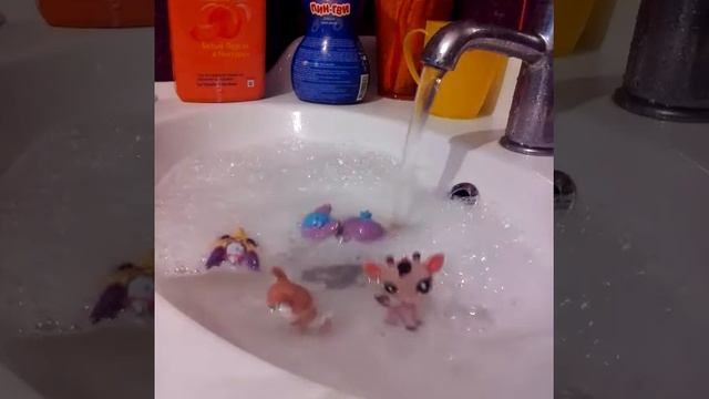 Как отчистить пета от грязи